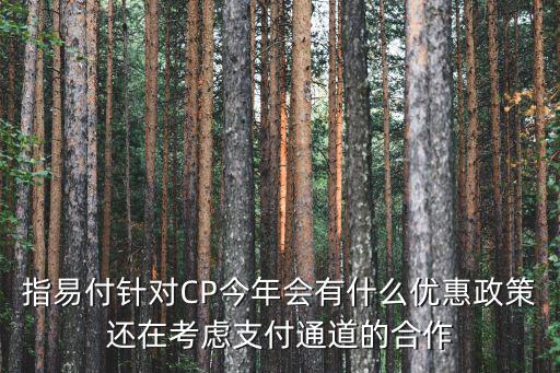指易付針對(duì)CP今年會(huì)有什么優(yōu)惠政策還在考慮支付通道的合作