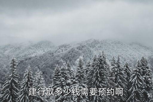 建行取多少錢需要預(yù)約啊