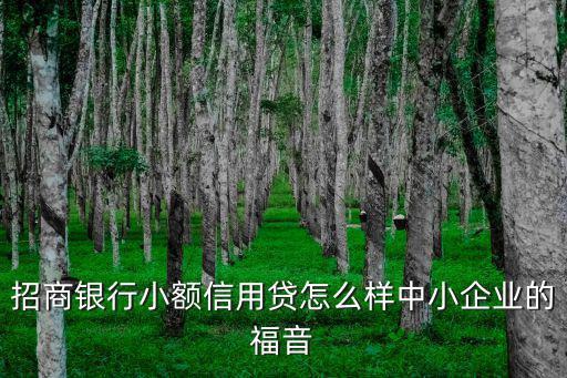 招商銀行小額信用貸怎么樣中小企業(yè)的福音