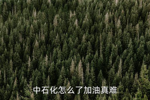 中石化怎么了加油真難