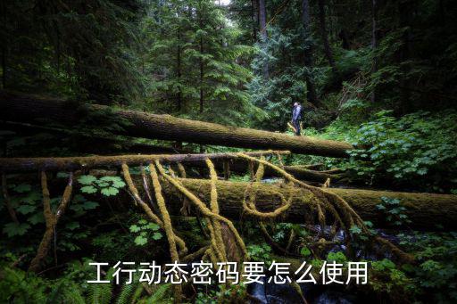 工行動態(tài)密碼要怎么使用
