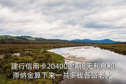 建行信用卡20400逾期8天利息和滯納金算下來一共多錢各路老大