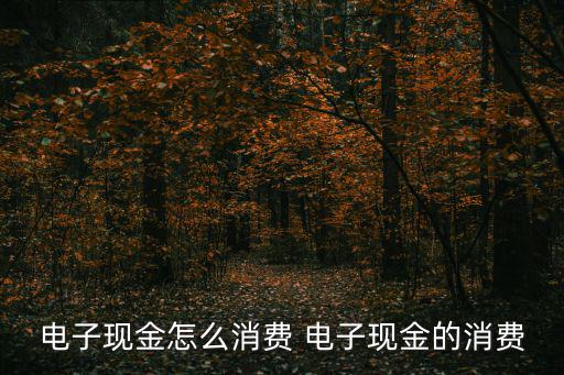 電子現(xiàn)金怎么消費(fèi) 電子現(xiàn)金的消費(fèi)