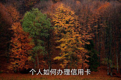 個(gè)人如何辦理信用卡