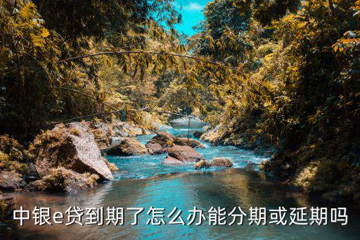 中銀e貸 逾期怎么辦，企業(yè)中銀e令過期怎么辦