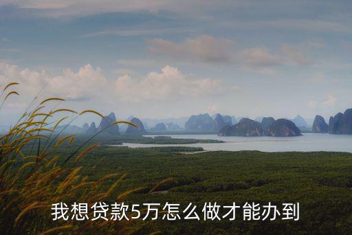 我想貸款5萬怎么做才能辦到