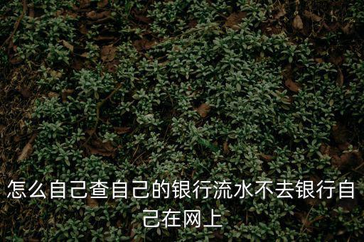 怎么自己查自己的銀行流水不去銀行自己在網(wǎng)上