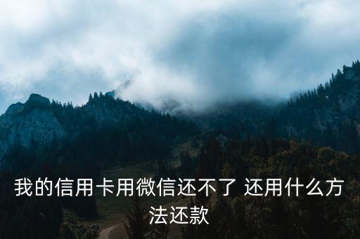 怎么在微信上還信用卡，我的信用卡用微信還不了 還用什么方法還款