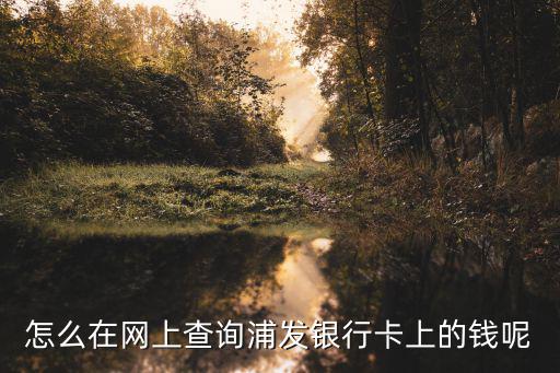 浦發(fā)批卡怎么看多少錢，怎么在網(wǎng)上查詢浦發(fā)銀行卡上的錢呢