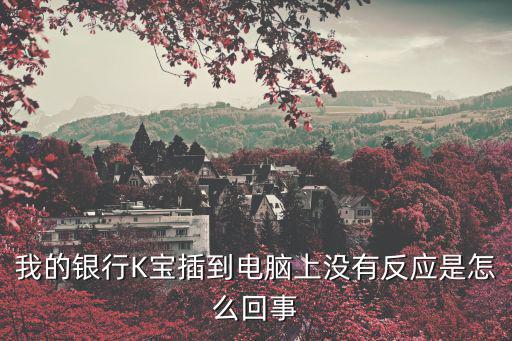 k寶怎么插到電腦上沒反應(yīng)，我的銀行K寶插到電腦上沒有反應(yīng)是怎么回事
