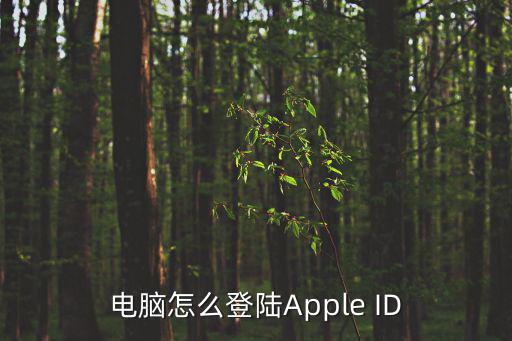 電腦怎么登陸Apple ID