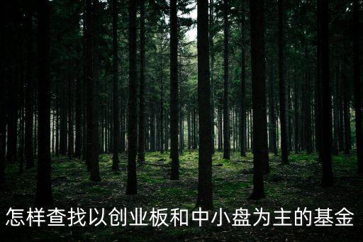 怎樣查找以創(chuàng)業(yè)板和中小盤(pán)為主的基金