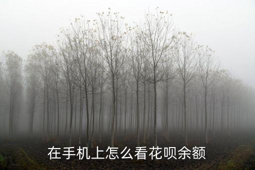 在手機(jī)上怎么看花唄余額