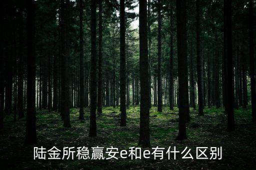 陸金所穩(wěn)贏安e和e有什么區(qū)別