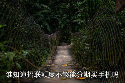 招聯(lián)額度不夠怎么分期，招行掌上生活信用卡額度不夠怎么分期付款
