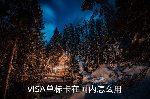 國(guó)內(nèi)怎么刷visa卡，visa信用卡怎么刷卡