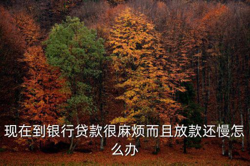 現(xiàn)在到銀行貸款很麻煩而且放款還慢怎么辦