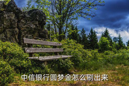 怎么有圓夢金，怎樣的山里有黃金