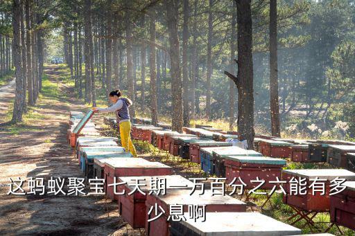 這螞蟻聚寶七天期一萬(wàn)百分之六能有多少息啊