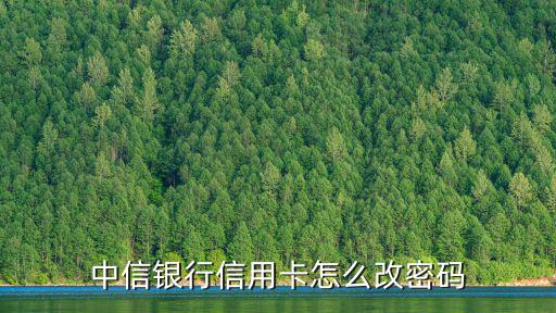 中信銀行信用卡怎么改密碼