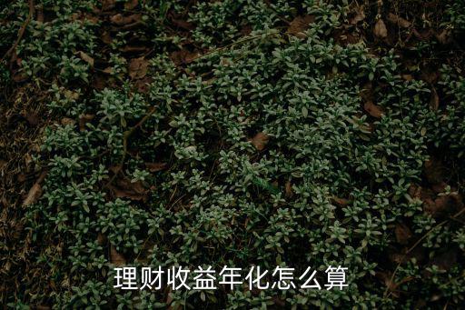 理財(cái)產(chǎn)品 年化利率怎么算的，理財(cái)產(chǎn)品怎樣算的利息