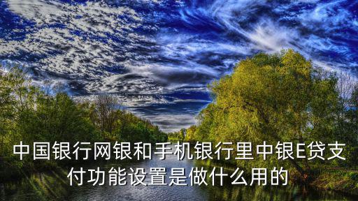 中銀E貸怎么設(shè)置放款，中國銀行網(wǎng)銀和手機銀行里中銀E貸支付功能設(shè)置是做什么用的