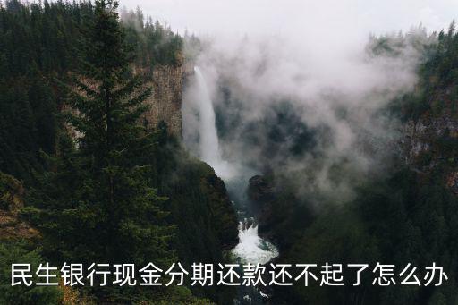 民生銀行現(xiàn)金分期還款還不起了怎么辦