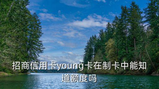 招商信用卡young卡在制卡中能知道額度嗎