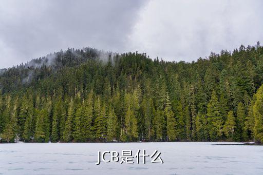 JCB是什么