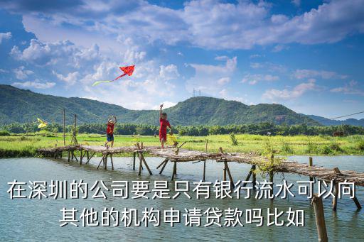 在深圳的公司要是只有銀行流水可以向其他的機(jī)構(gòu)申請(qǐng)貸款嗎比如