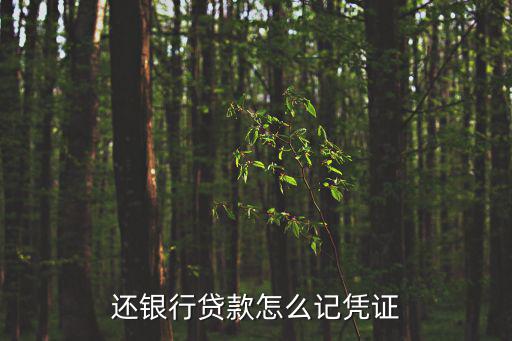 還銀行貸款怎么記憑證