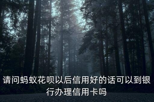 請(qǐng)問(wèn)螞蟻花唄以后信用好的話(huà)可以到銀行辦理信用卡嗎