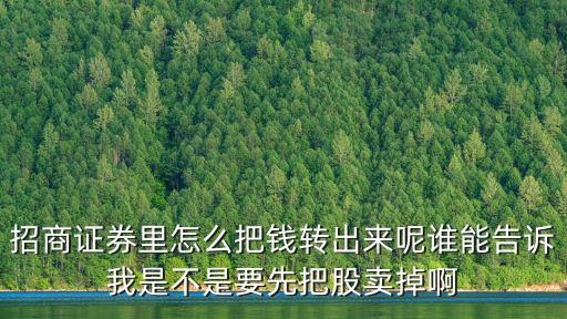 招商招瑞怎么賣出，招商證券里怎么把錢轉(zhuǎn)出來(lái)呢誰(shuí)能告訴我是不是要先把股賣掉啊