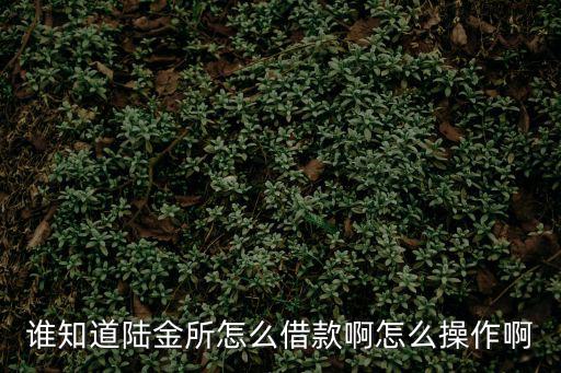 誰知道陸金所怎么借款啊怎么操作啊