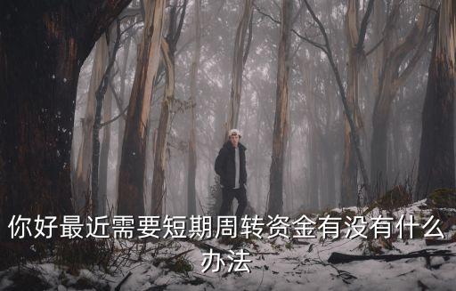 你好最近需要短期周轉(zhuǎn)資金有沒有什么辦法