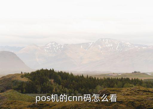 pos機的cnn碼怎么看