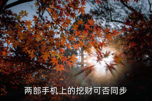 兩部手機(jī)上的挖財(cái)可否同步