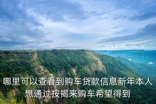 哪里可以查看到購車貸款信息新年本人想通過按揭來購車希望得到