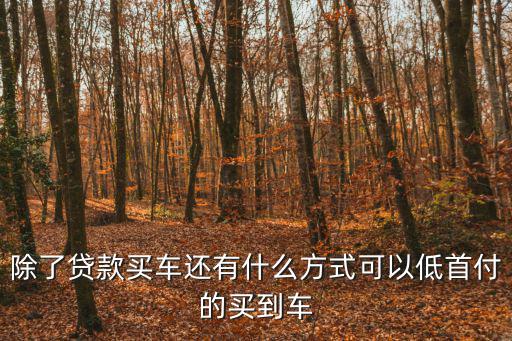 除了貸款買車還有什么方式可以低首付的買到車