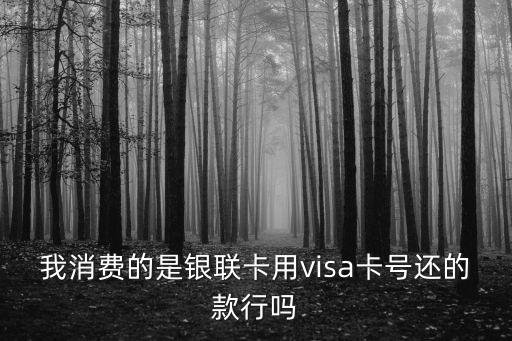 我消費(fèi)的是銀聯(lián)卡用visa卡號還的款行嗎