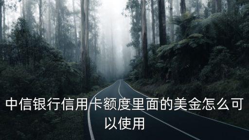 中信信用卡怎么刷外幣，中信銀行信用卡額度里面的美金怎么可以使用