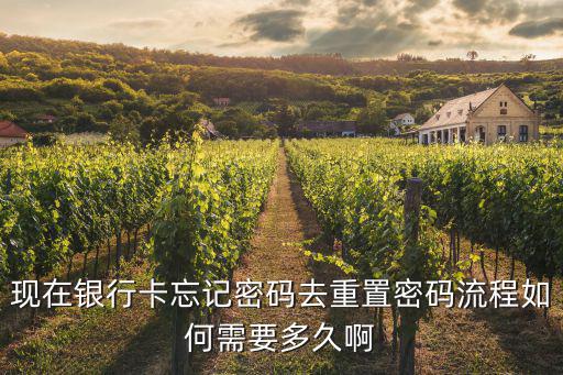 借記卡重置密碼怎么辦，銀行卡的密碼忘記了改怎么辦