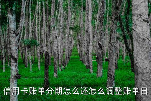 信用卡賬單分期怎么還怎么調(diào)整賬單日