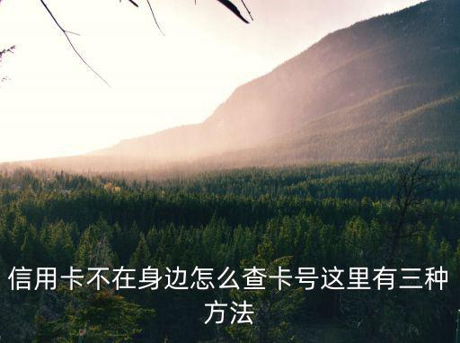 信用卡不在身邊怎么查卡號(hào)這里有三種方法