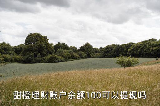 雪山貸100怎么不能提現(xiàn)，點(diǎn)開里邊有個百元理財 我在百元理財上沖了2550元 現(xiàn)在提現(xiàn)提不出