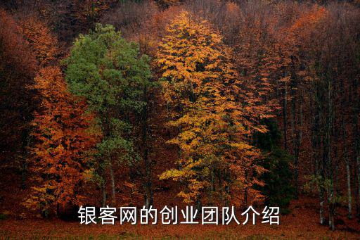 互聯(lián)網(wǎng)團(tuán)隊(duì)介紹怎么，網(wǎng)絡(luò)營(yíng)銷團(tuán)隊(duì)介紹下
