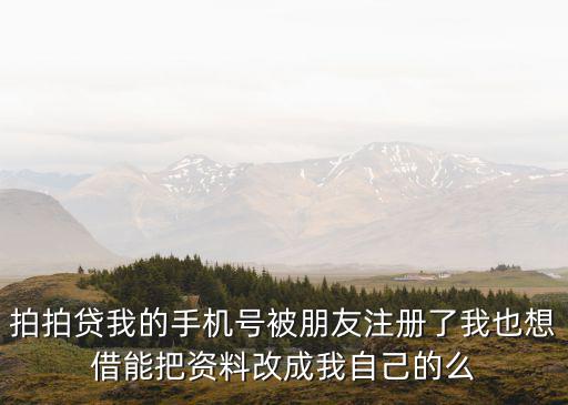 拍拍貸怎么更改資料，拍拍貸如何更改個(gè)人資料