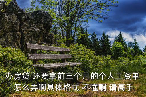 辦房貸 還要拿前三個月的個人工資單 怎么弄啊具體格式 不懂啊 請高手
