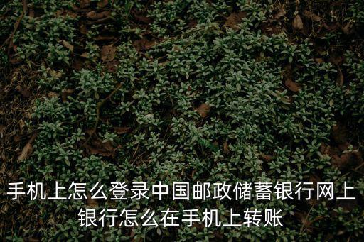 手機(jī)上怎么登錄中國郵政儲(chǔ)蓄銀行網(wǎng)上銀行怎么在手機(jī)上轉(zhuǎn)賬