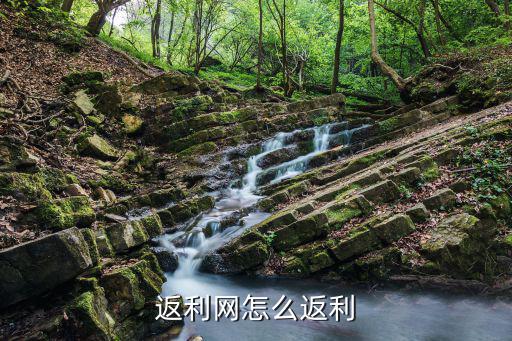返利網(wǎng)怎么返利